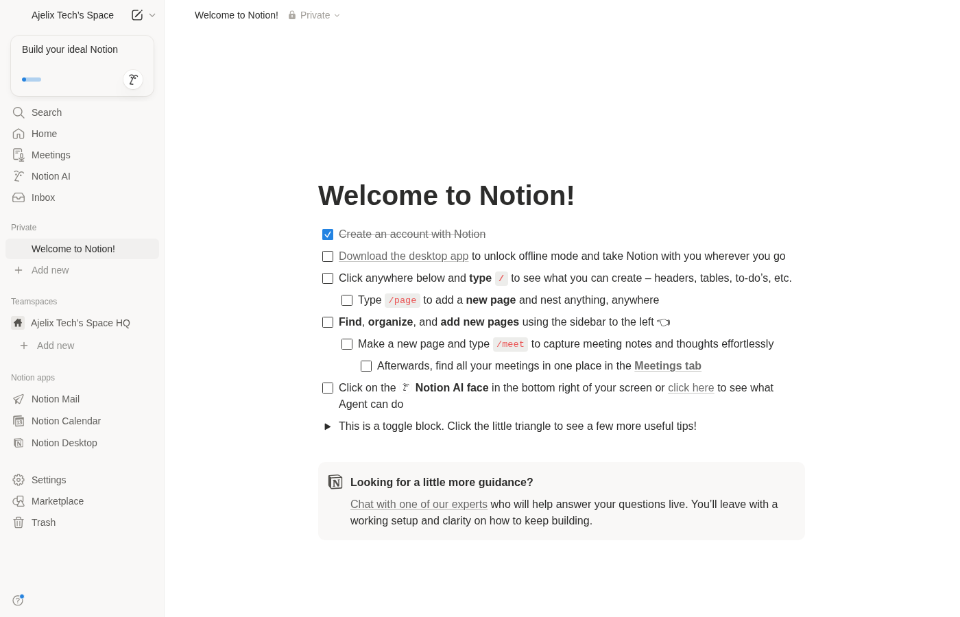 Notion page view